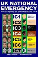 UK National Emergency: Structural Blindness and the Black Condition in the UK by