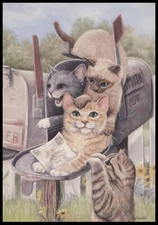 Greeting Card - Cat Kitten - Joy Campbell - Friendship 0995