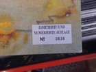 Bild 2 von 7
