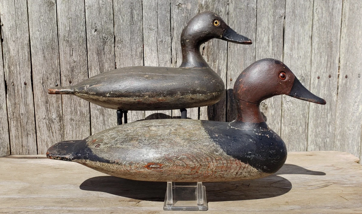 Canvasback Antique Hunting Duck Decoys for sale | eBay
