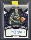 JERMAINE O'NEAL 2023-24 PANINI FLAWLESS #FSS-JON SHADE AUTO AMETHYST 1/3 PACERS