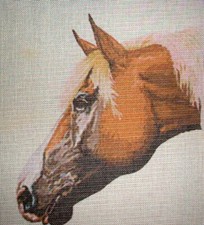 MZC Palomino Horse Head Hand Painted Needlepoint Canvas
