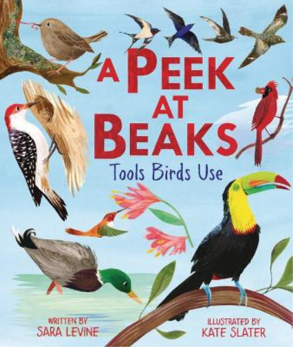 Sara Levine A Peek at Beaks (Copertina rigida)