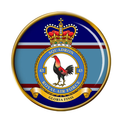 43 Squadron, RAF Anstecknadel