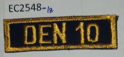 Boy Scout Cub Scout Den 10