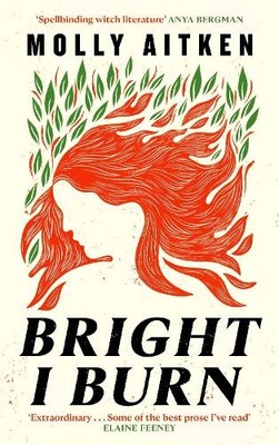 Bright I Burn by Aitken, Molly Hardback Book The Fast Free Shipping