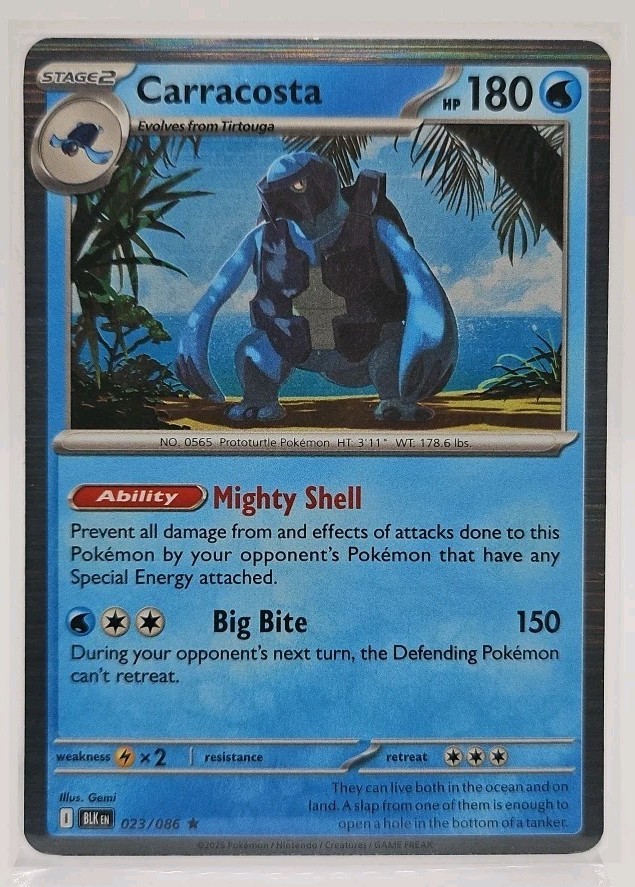 Carracosta (Holo Rare) 023/086 Pokemon SV: Black Bolt (BLK) EN TCG NM