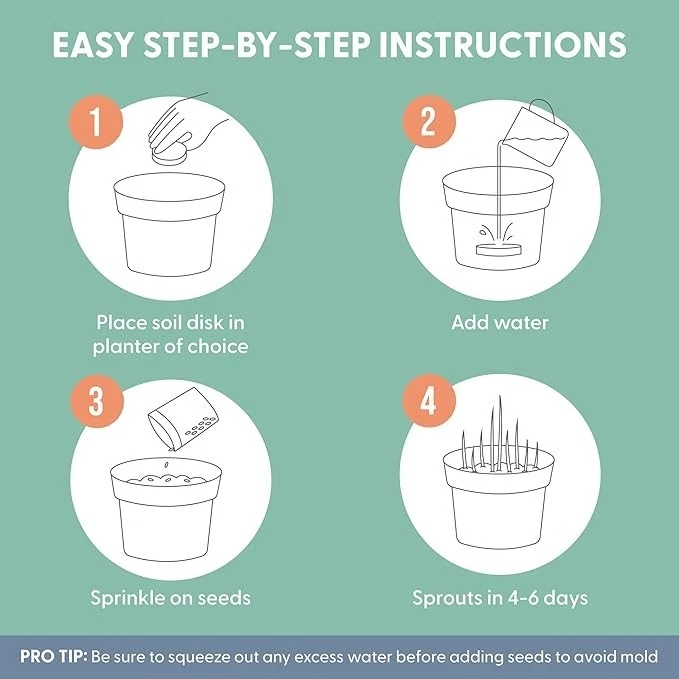 Cat Grass for Indoor Cats - Growing Kit - Organic Cat Grass- The Cat Ladies - Image 3 of 4