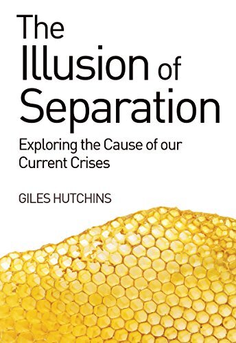 The Illusion of Separation: Exploring the Cause of our Current Crises Hutchins - Image 5