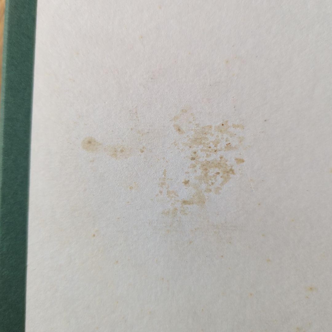 Picture 9 of 13
