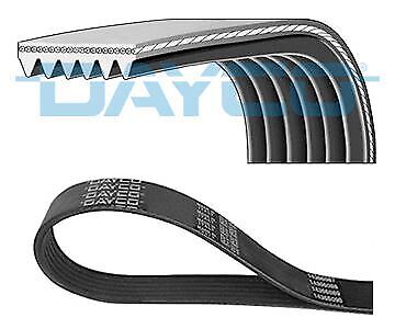 Dayco V-Ribbed Belt Fits Citroen C6 2.2 HDi 6PK1205 2006-2012 - Picture 1 of 1