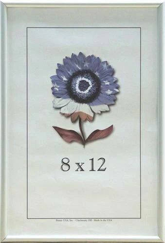 Переходные серебряные фоторамки