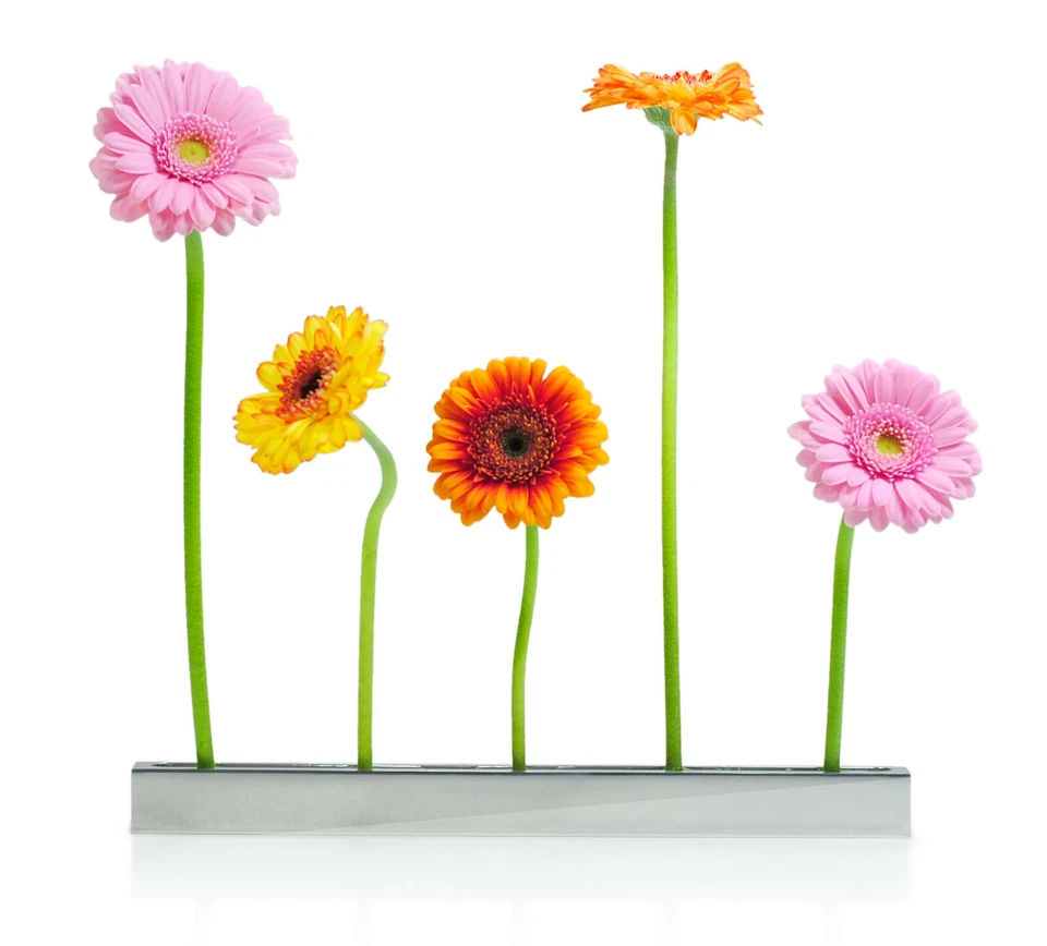 Blumenallee ALU Steckvase von XXD Tischdeko stylische Vase Hochzeitsgeschenk  - Bild 4 von 4