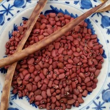 Red Ripper Cowpea Seeds (30) / HEAT TOLERANT / VINING / RARE / EASY / FLORIDA