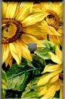 Bild 24 von 31