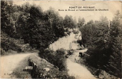 Old postcard Foret de MEYRIAT Route de BRÉNOD (485723)