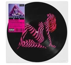 Madonna – Confessions II Grindr Exxxclusive Picture Disc LP Vinyl Record - NEW