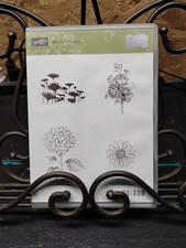 STAMPIN UP best of flowers Stamp set sunflower rose daffodil