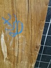 Bild 8 von 8