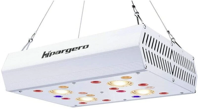 Hipargero hg800 outlet