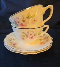 Homer Laughlin Virginia Rose  2 Cup & Saucers Cottagecore c 1940's