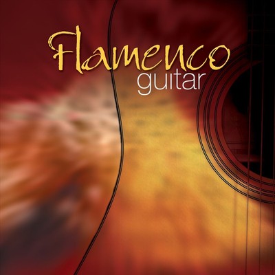 VARIOUS ARTISTS - FLAMENCO GUITAR [FAST FORWARD] NEW CD