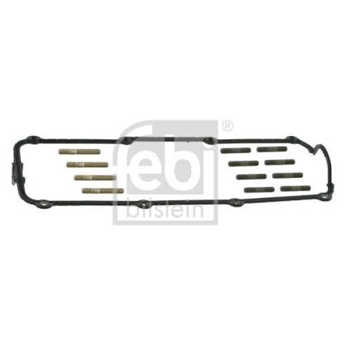 Guarnizione Copritestata Febi Bilstein 15392 per Audi VW