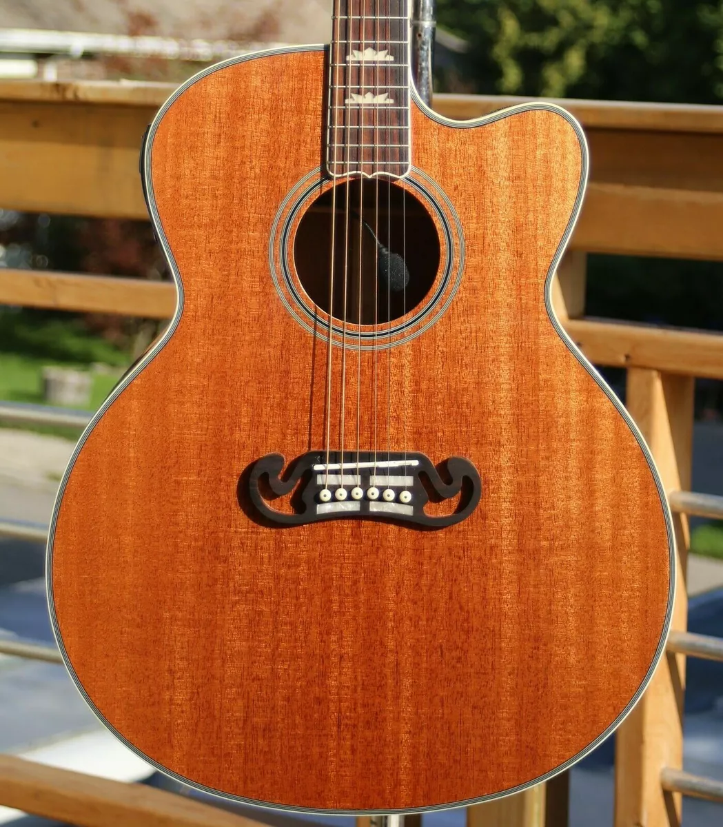 Single cut acoustic guitar online