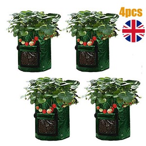 grow bags uk