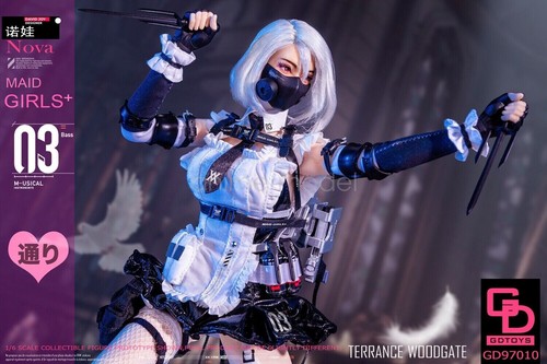 1/6 GDTOYS GD97010 Maid Frontline Female Warrior NOVA with Movable Eyes Gift - Picture 13 of 17