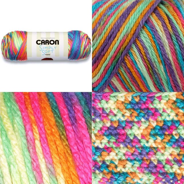 NEW Caron Simply Soft Paints Yarn 3-4oz Skeins Same Dye Lot RAINBOW BRIGHT