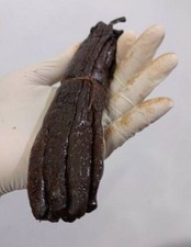 50-55 G Madagascar Banana Vanilla Pompona Class A Fast Shipping
