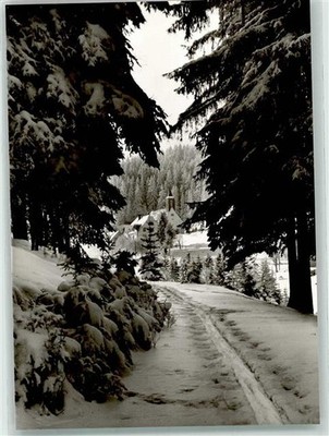 39606204 - 7821 Eisenbach Pension Haus Charlott Winter