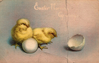 Vintage  Easter morning Greetings Postcard -Chicks Hatching - Easter Series #116
