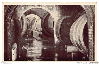 AGWP4-0223-LUXEMBOURG - Caves cooperatives des Vignerons de WELLENSTEIN - S-MO