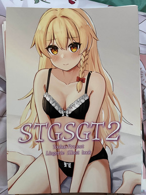 STGSGT2 Touhou Project Artbook Ecchi