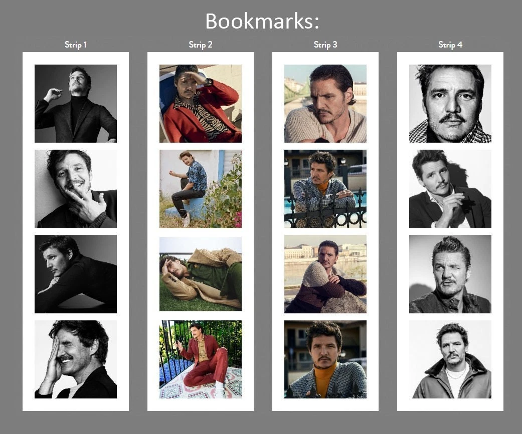 Pedro Pascal 2026 Wall Calendar, Hollywood Daddy Joel Merch, Gift for Her