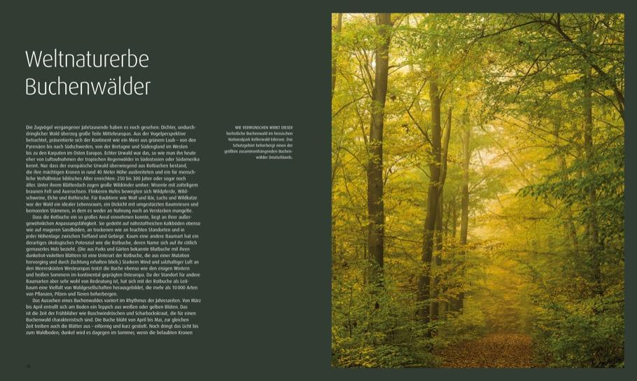 Thumbnail - Deutschlands Wilde Wälder, Norbert Rosing