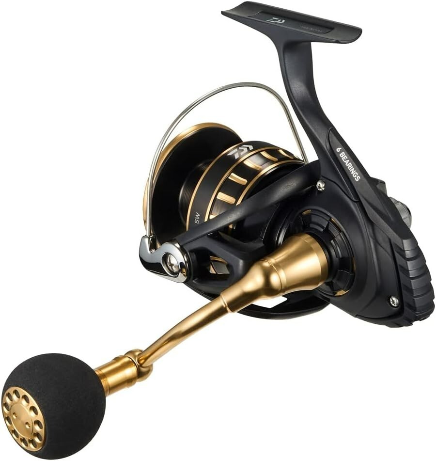 DAIWA Spinning Reel 23BG SW 6000D-H (2023 model) | eBay
