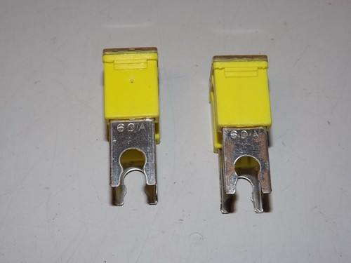 x 2 pcs. 60 Amp Fuse