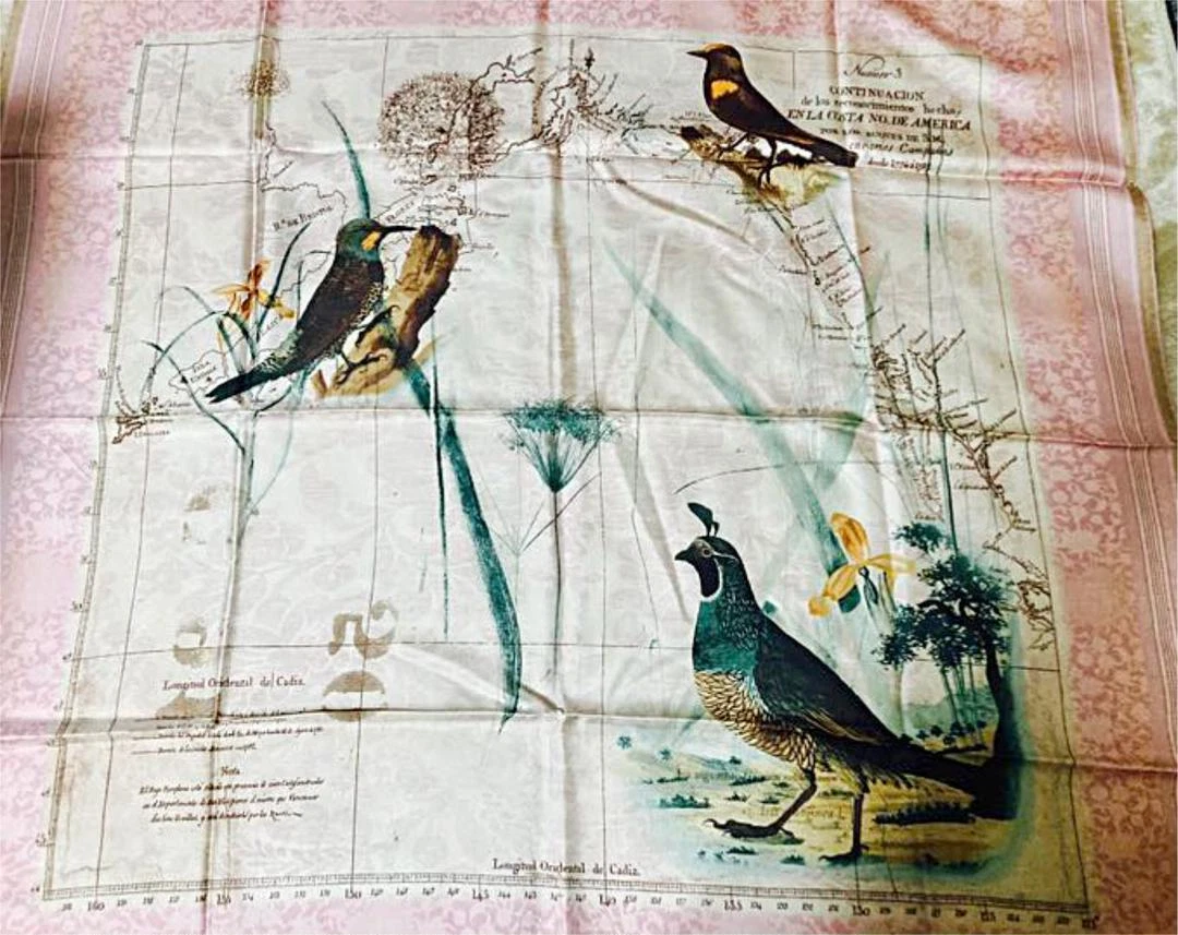Loewe silk shop scarf