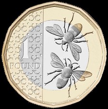 1983 - 2026 Royal Mint &pound;1 One Pound PROOF Coins - Choose Your Year