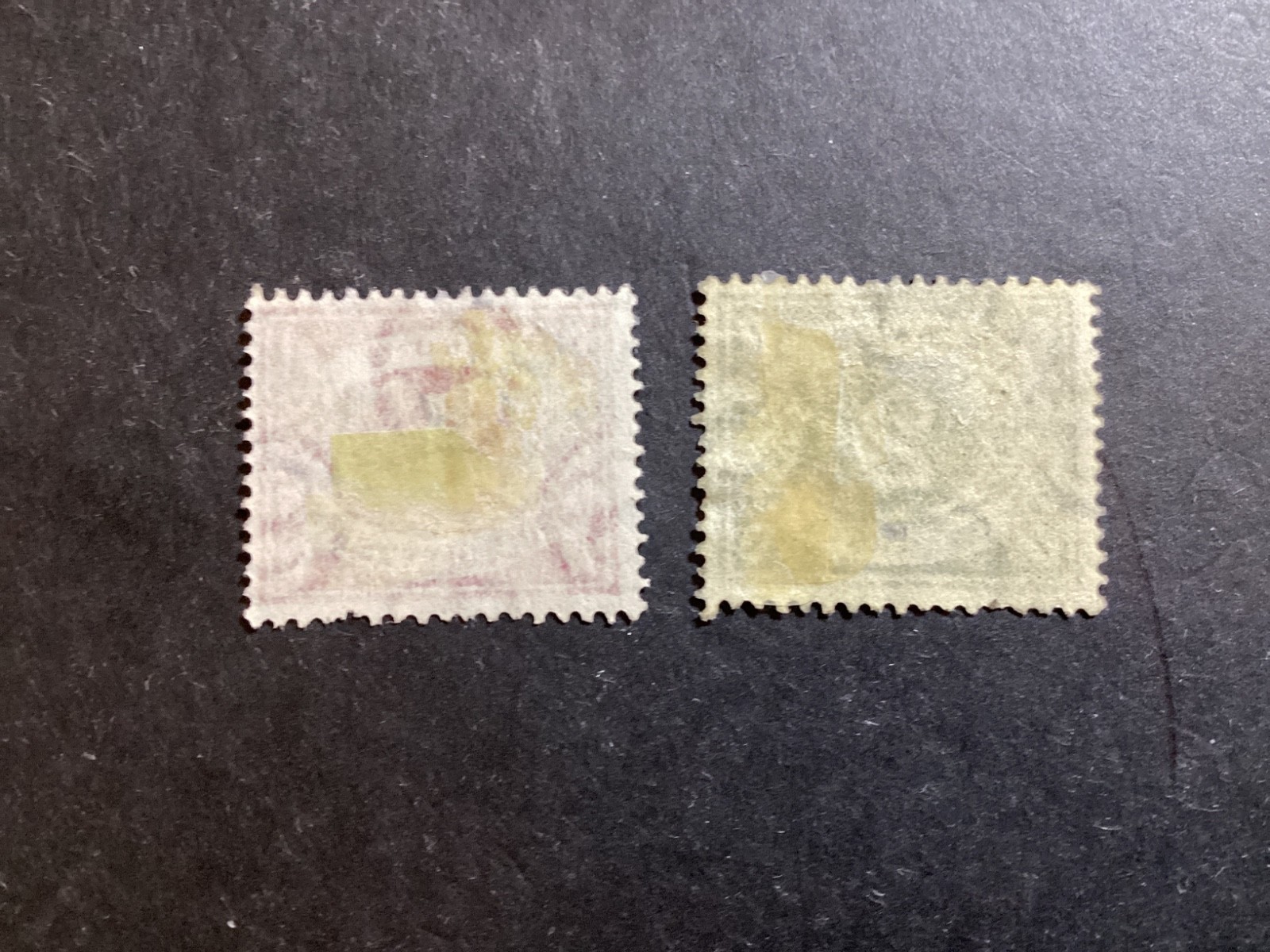 Picture 2