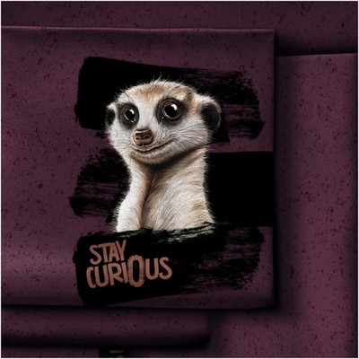 French Terry Stoffpanel Stay Curious by Torsten Berger Erdmännchen Paneele