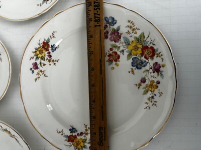 Vintage Edwin Knowles semi vitreous china 5 piece setting 46-10