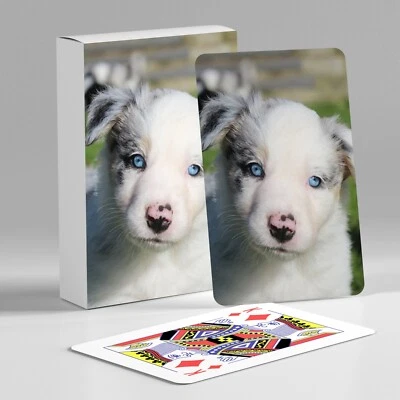 BEANPRINT Personalised Playing Cards, with personalised White Box, Printed with your image
