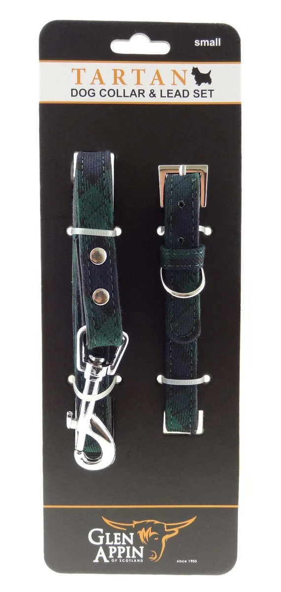 Dog watch collar deals