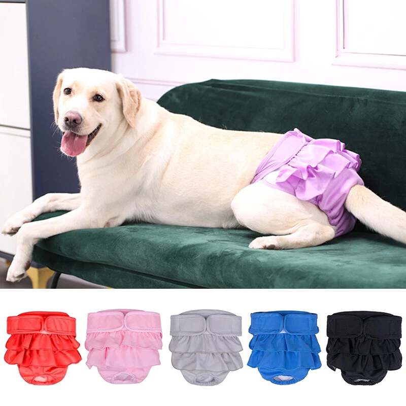 Nappies for sale dogs on heat
