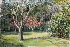 Edith Nagler American Modern Artist  Still Life Watercolor Signed Listed