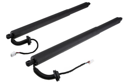 X2 cylinder tailgate closure bonnet left + right for Mazda CX-30